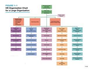 1–12
FIGURE 1–1
HR Organization Chart
for a Large Organization
 