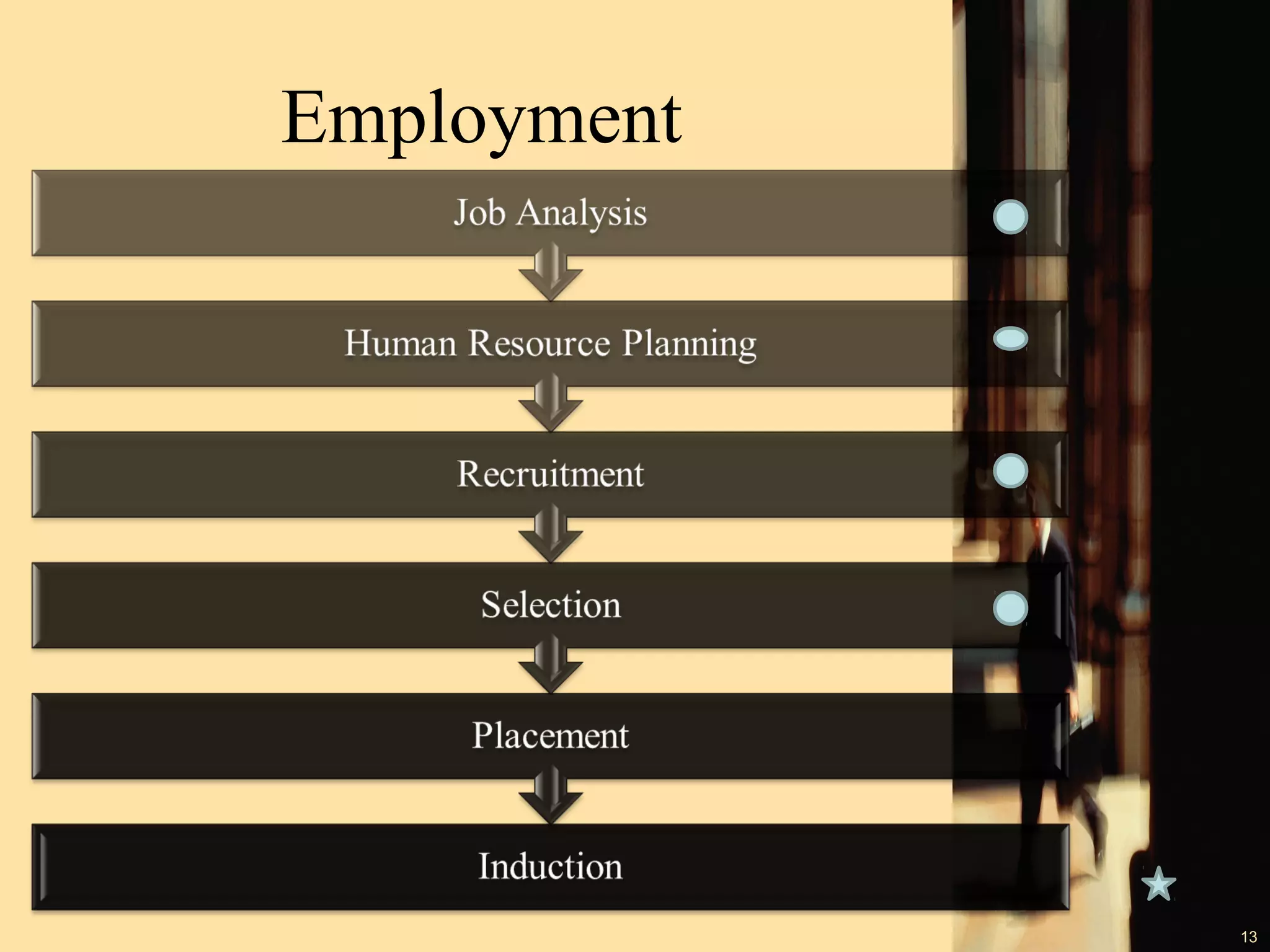 Employment

13

 