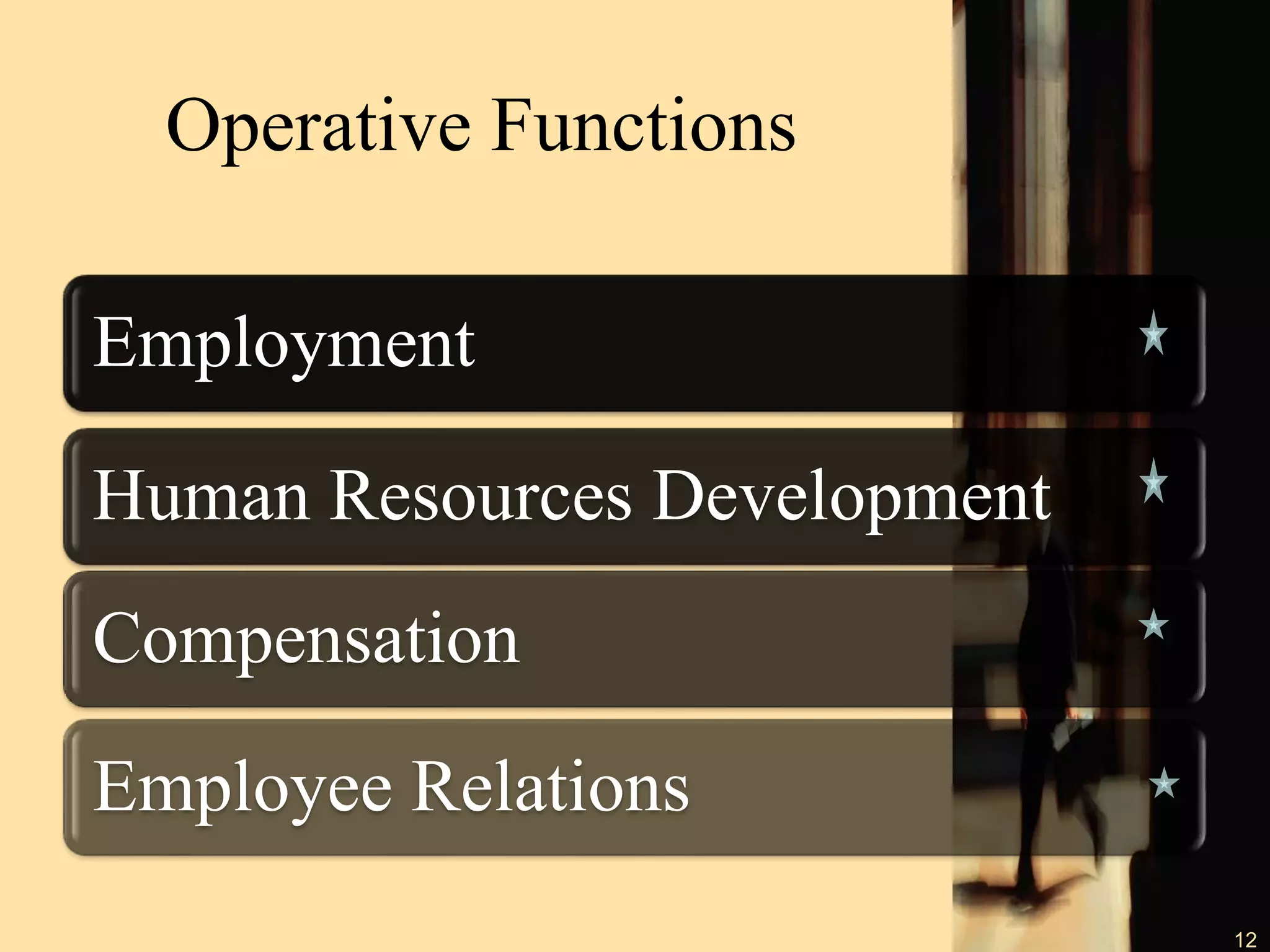 Operative Functions
Employment
Human Resources Development
Compensation
Employee Relations
12
 