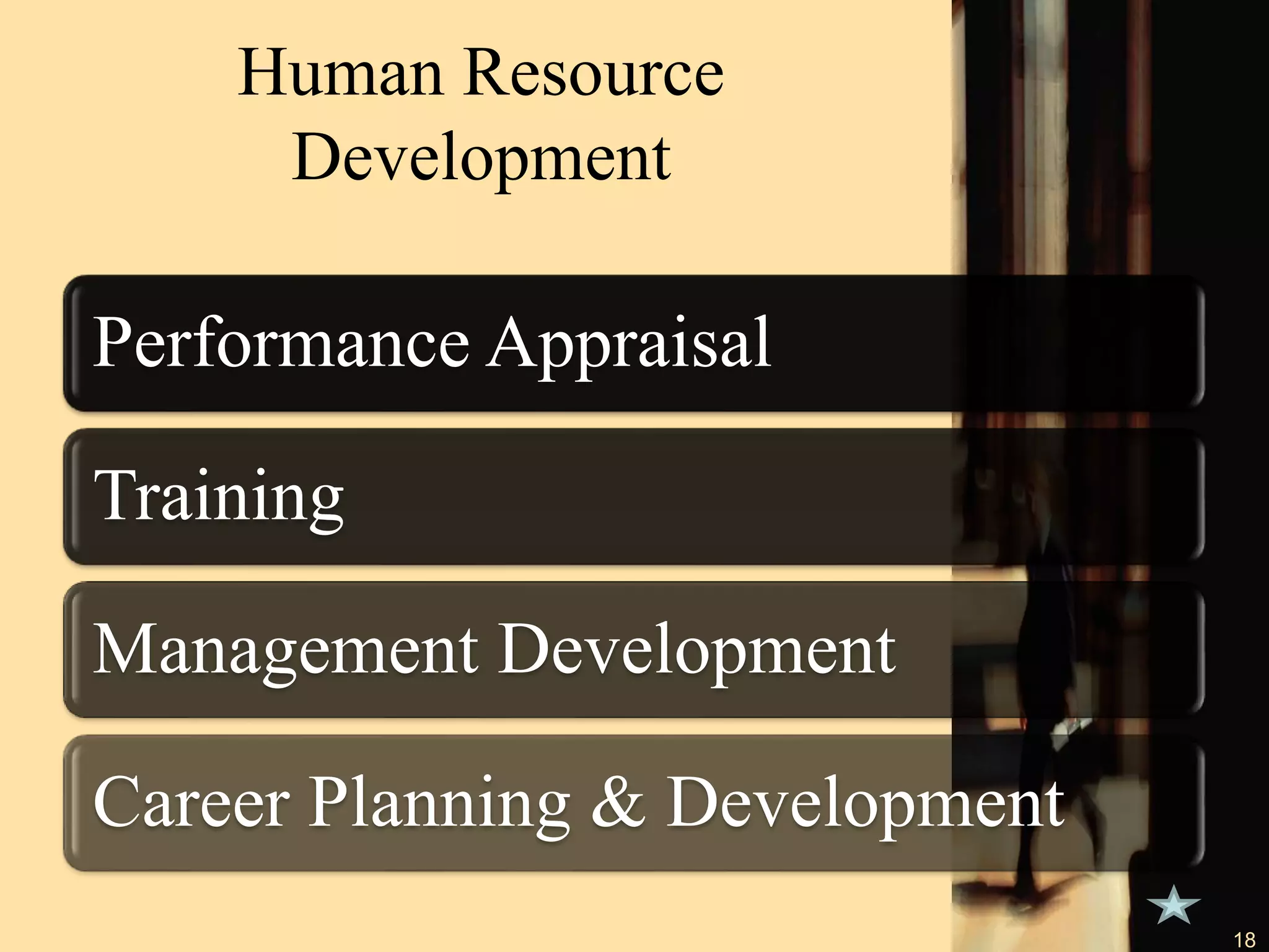 Human Resource
Development
Performance Appraisal
Training
Management Development
Career Planning & Development
18
 