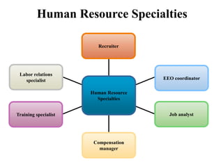 Human Resource Specialties
Recruiter
EEO coordinator
Labor relations
specialist
Training specialist Job analyst
Compensation
manager
Human Resource
Specialties
 