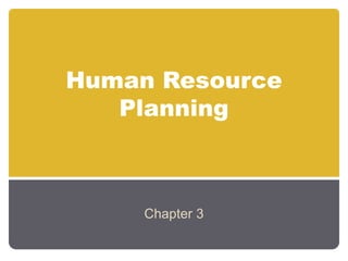 Human Resource
   Planning



     Chapter 3
 