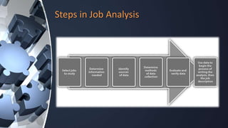 Human resource planning and job analysis