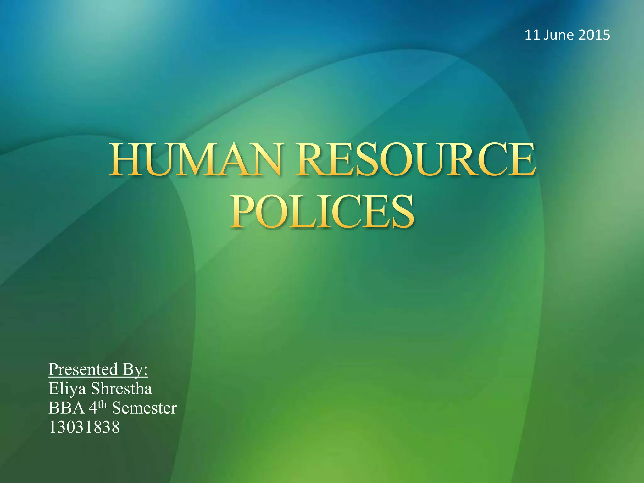 Summer Project On Human Resource Policy of Nepal Airlines Corporation