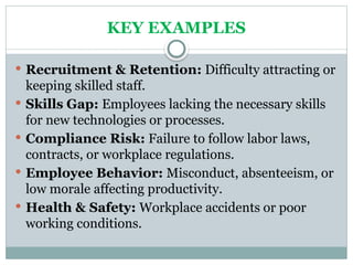 HUMAN RESOURCE RISK and PRODUCTION PRESENTATION | PPTX