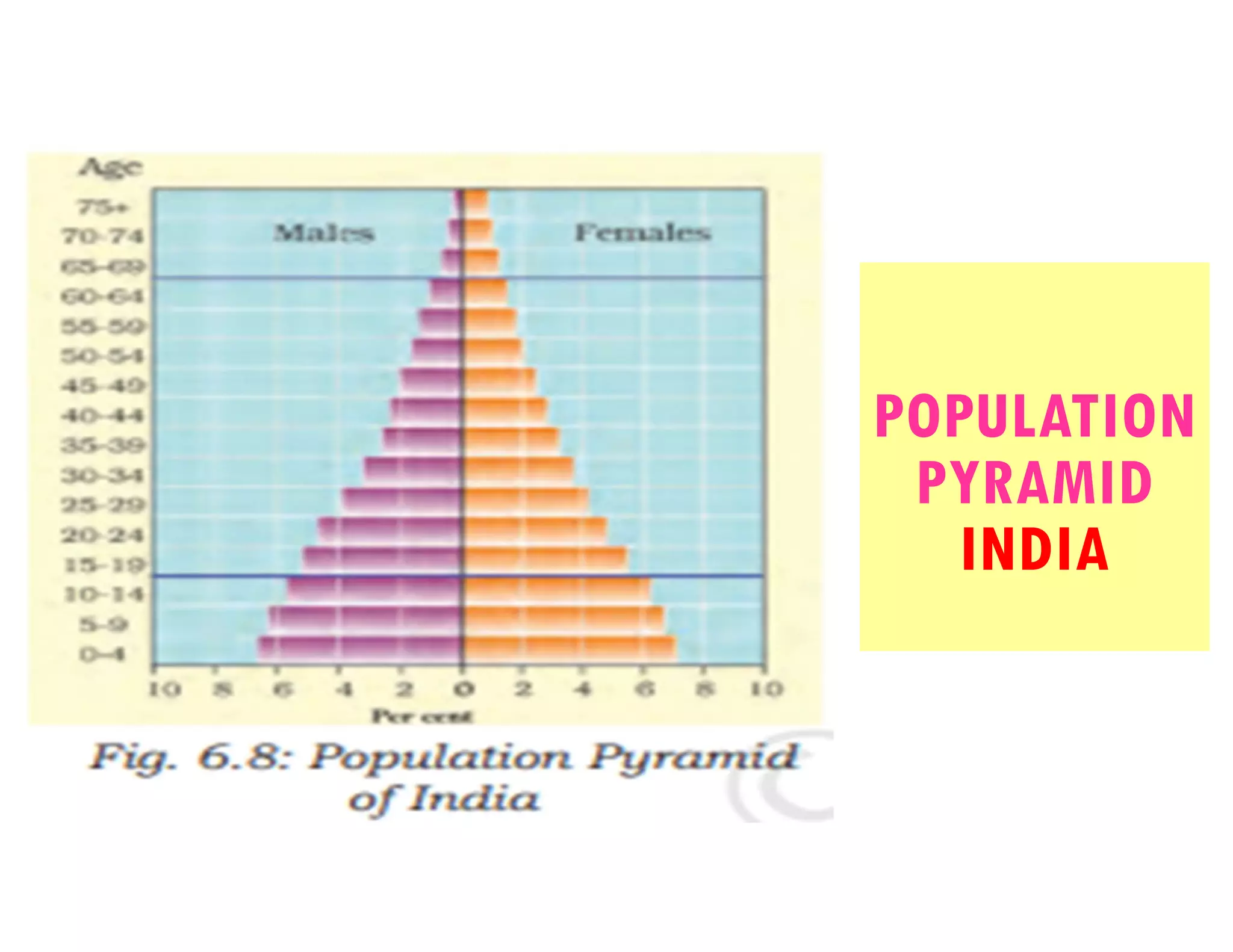 Human resources class 8 | PDF