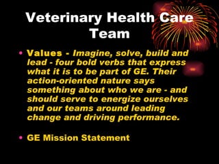Veterinary Health Care Team Values -   Imagine, solve, build and lead - four bold verbs that express what it is to be part of GE. Their action-oriented nature says something about who we are - and should serve to energize ourselves and our teams around leading change and driving performance. GE Mission Statement 