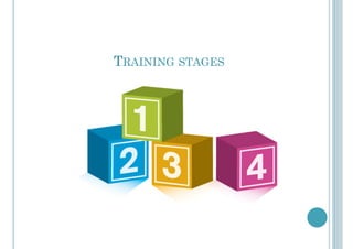 TRAINING STAGES
 