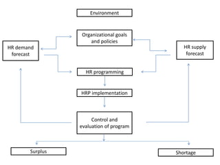 Environment
Organizational goals
and policies
HR programming
HRP implementation
HR supply
forecast
HR demand
forecast
Shortage
Control and
evaluation of program
Surplus
 