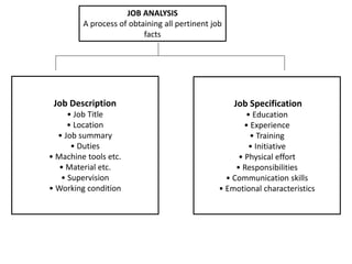 JOB ANALYSIS
A process of obtaining all pertinent job
facts
Job Description
• Job Title
• Location
• Job summary
• Duties
• Machine tools etc.
• Material etc.
• Supervision
• Working condition
Job Specification
• Education
• Experience
• Training
• Initiative
• Physical effort
• Responsibilities
• Communication skills
• Emotional characteristics
 