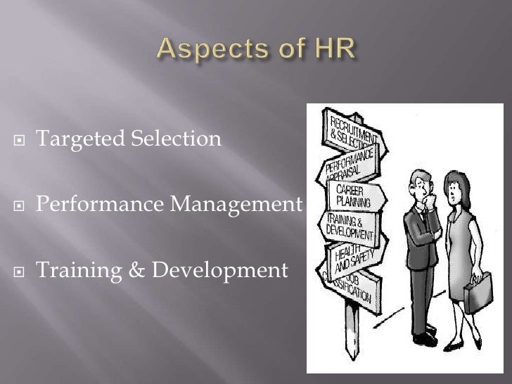 targeted selection interview