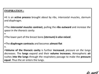 INSPIRATION :

•It is an active process brought about by ribs, intercostal muscles, sternum
and diaphragm.

•The intercostal muscles contract, pulling the ribs outward and increase the
space in the thoracic cavity.
•
•The lower part of the breast bone (sternum) is also raised.

•The diaphragm contracts and becomes almost flat
•.
•Volume of the thoracic cavity is further increased, pressure on the lungs
decreases. The lungs expand and their volume increases. Atmospheric air
rushes into the lungs through the respiratory passage to make the pressure
equal. Thus the air enters the lungs.



                                                                        dr. aarif
 