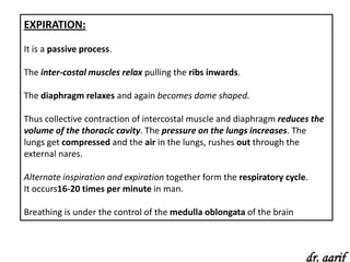 EXPIRATION:

It is a passive process.

The inter-costal muscles relax pulling the ribs inwards.

The diaphragm relaxes and again becomes dome shaped.

Thus collective contraction of intercostal muscle and diaphragm reduces the
volume of the thoracic cavity. The pressure on the lungs increases. The
lungs get compressed and the air in the lungs, rushes out through the
external nares.

Alternate inspiration and expiration together form the respiratory cycle.
It occurs16-20 times per minute in man.

Breathing is under the control of the medulla oblongata of the brain



                                                                        dr. aarif
 