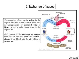 1.Exchange of gases


•Concentration of oxygen is higher in the
inspired air than in the alveolar blood and
the concentration of carbon-dioxide is
higher in the alveolar blood than in the
inspired air.

•This results in the exchange of oxygen
from the air into the blood and carbon-
dioxide from blood into the air which is
exhaled out.




                                               dr. aarif
 
