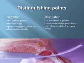 Breathing
It is a physical process.
It involves lungs.
It provide oxygen to the cell and
releases carbon dioxide.
Respiration
It is a biochemical process.
It involves mitochondria of the cell
where food is oxidized to release
energy.
 