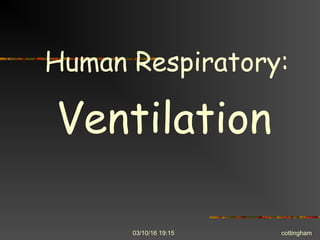 03/10/16 19:15 cottingham
Human Respiratory:
Ventilation
 