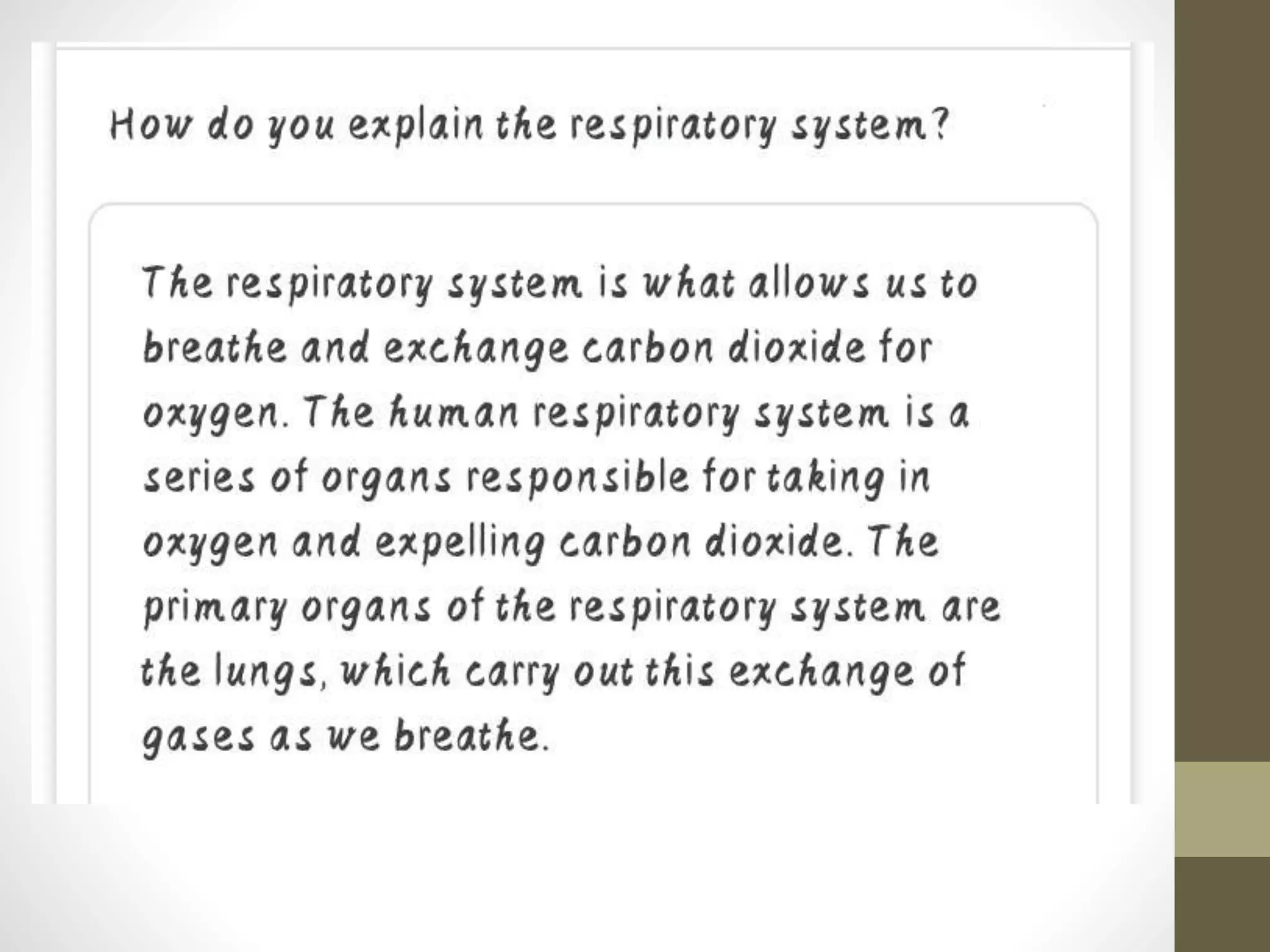 Human respiratory system | PPT
