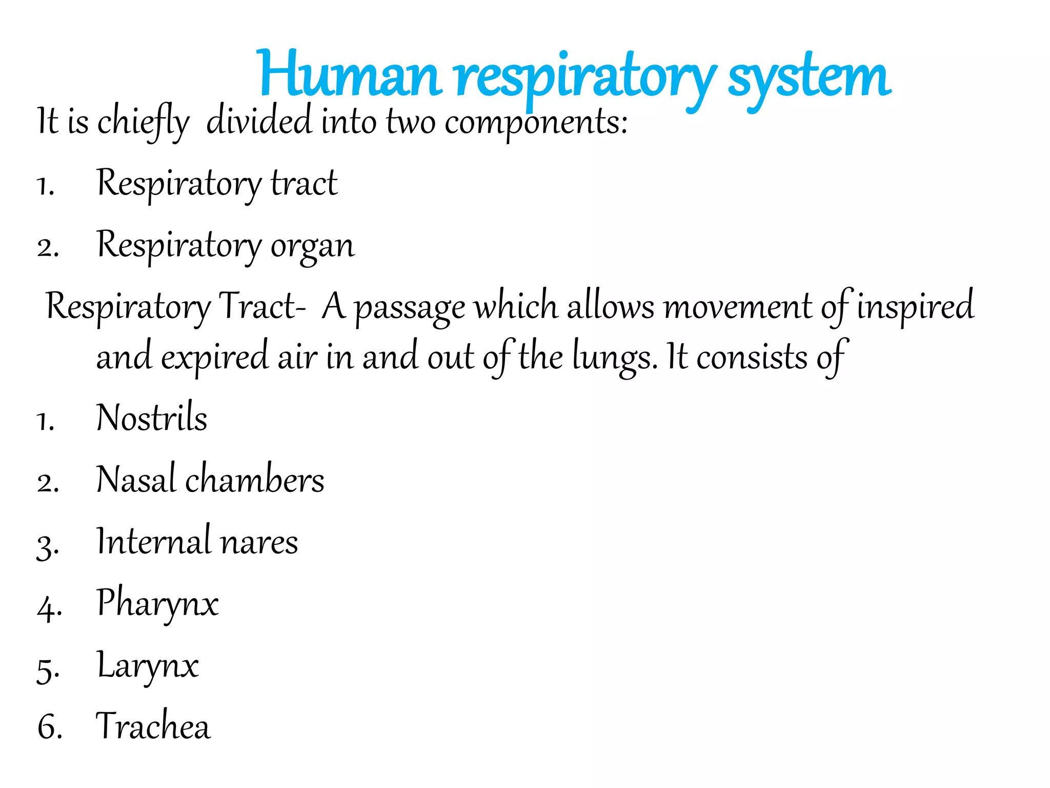 Human respiratory systemIt is chiefly divided into two components:
1. Respiratory tract
2. Respiratory organ
Respiratory Tract- A passage which allows movement of inspired
and expired air in and out of the lungs. It consists of
1. Nostrils
2. Nasal chambers
3. Internal nares
4. Pharynx
5. Larynx
6. Trachea
 