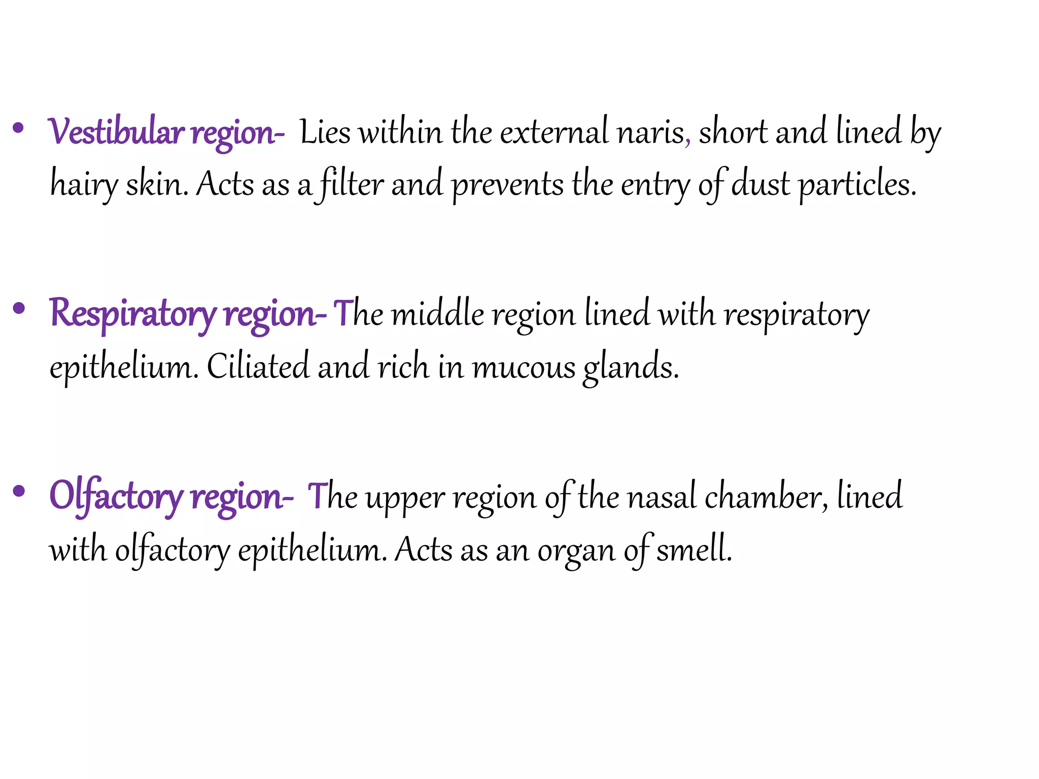• Vestibular region- Lies within the external naris, short and lined by
hairy skin. Acts as a filter and prevents the entry of dust particles.
• Respiratory region- The middle region lined with respiratory
epithelium. Ciliated and rich in mucous glands.
• Olfactory region- The upper region of the nasal chamber, lined
with olfactory epithelium. Acts as an organ of smell.
 