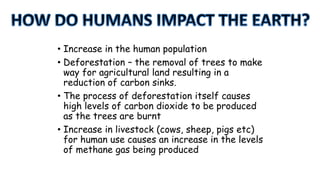 • Increase in the human population
• Deforestation – the removal of trees to make
way for agricultural land resulting in a
reduction of carbon sinks.
• The process of deforestation itself causes
high levels of carbon dioxide to be produced
as the trees are burnt
• Increase in livestock (cows, sheep, pigs etc)
for human use causes an increase in the levels
of methane gas being produced

 