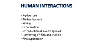 • Agriculture
• Timber harvest
• Mining
• Urbanization
• Introduction of exotic species
• Harvesting of fish and wildlife
• Fire suppression

 
