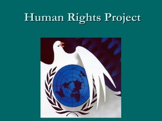 Human Rights Project 