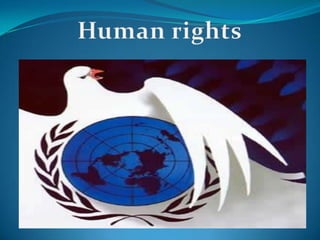 Human rights,[object Object]