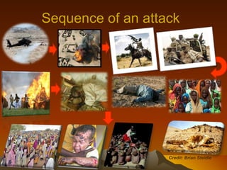 Sequence of an attack  Credit: Brian Steidle 