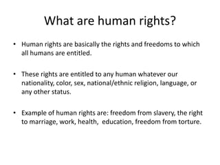 Human Rights In The Usa | PPTX