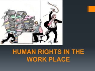HUMAN RIGHTS IN THE 
WORK PLACE 
 