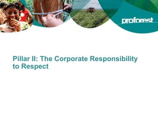Pillar II: The Corporate Responsibility
to Respect
 