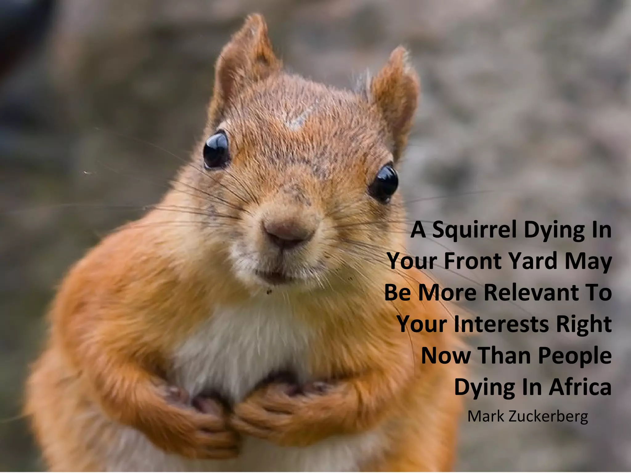 A Squirrel Dying In
Your Front Yard May
Be More Relevant To
 Your Interests Right
   Now Than People
      Dying In Africa
       Mark Zuckerberg
 
