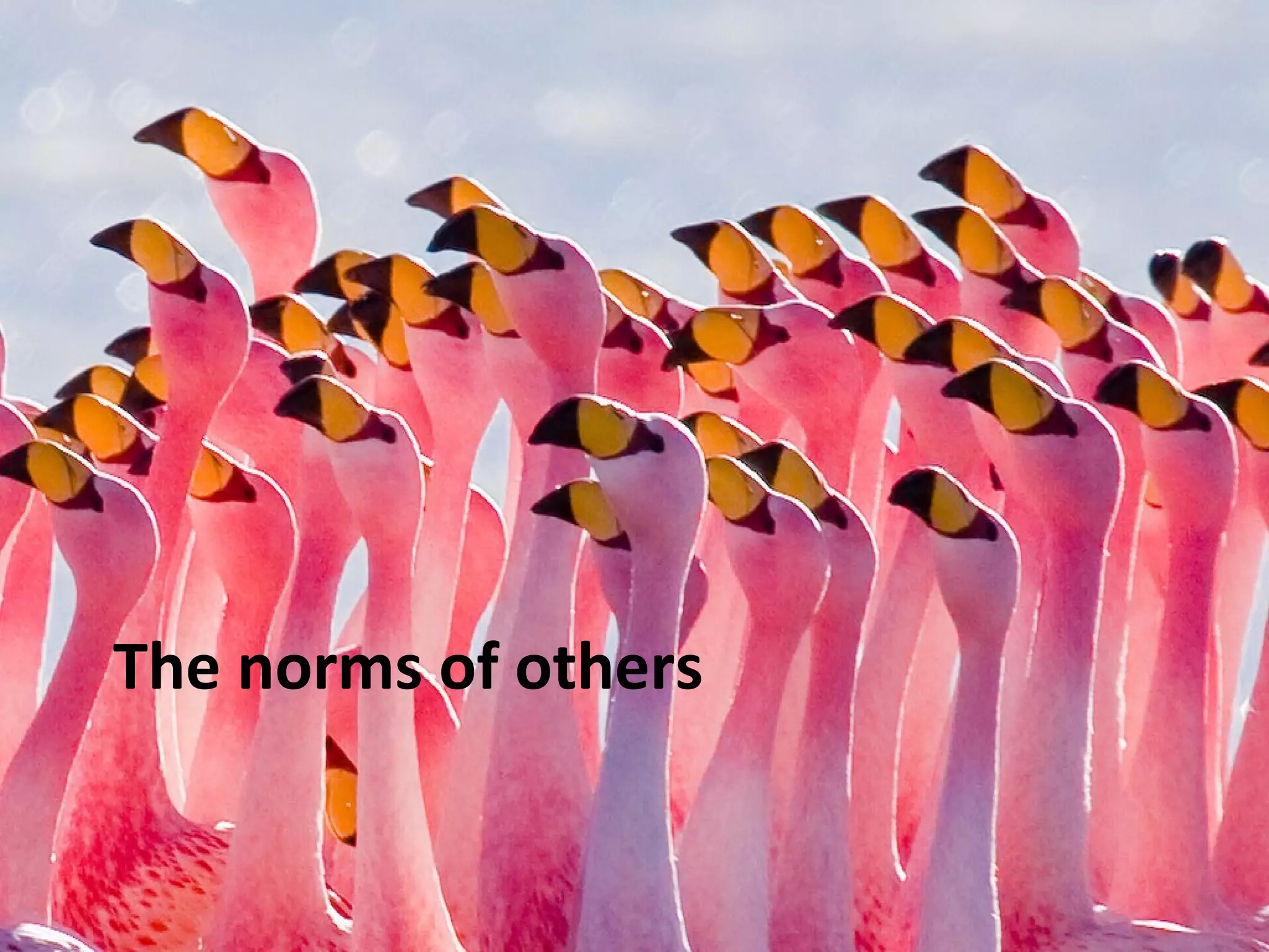 The norms of others
 