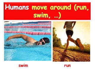 runswim
 