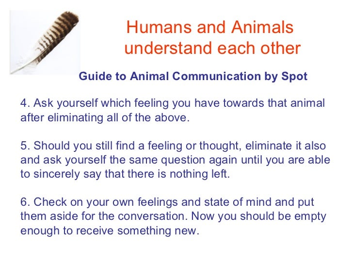 Humans and animals understand each other