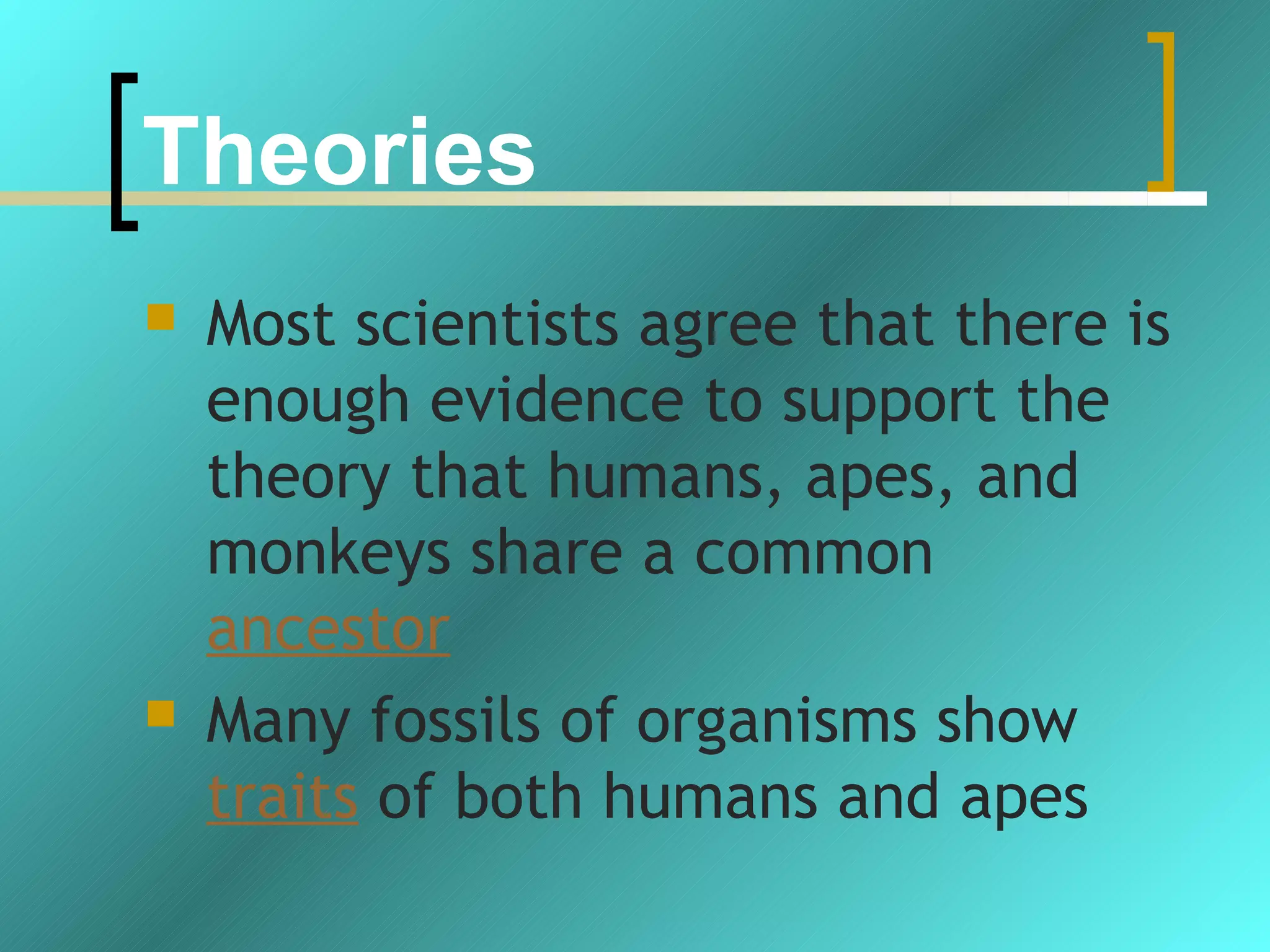 Theories
   Most scientists agree that there is
    enough evidence to support the
    theory that humans, apes, and
    monkeys share a common
    ancestor
   Many fossils of organisms show
    traits of both humans and apes
 