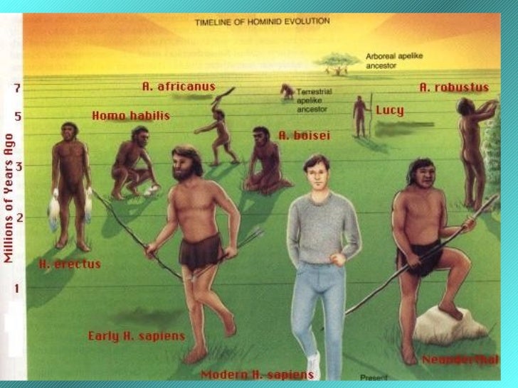 Humans and other primates