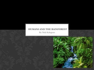 HUMANS AND THE RAINFOREST
       By: Nick Kalogeras
 