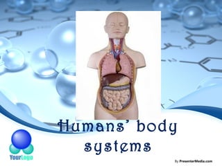 Humans’ body
  systems
           By PresenterMedia.com
 
