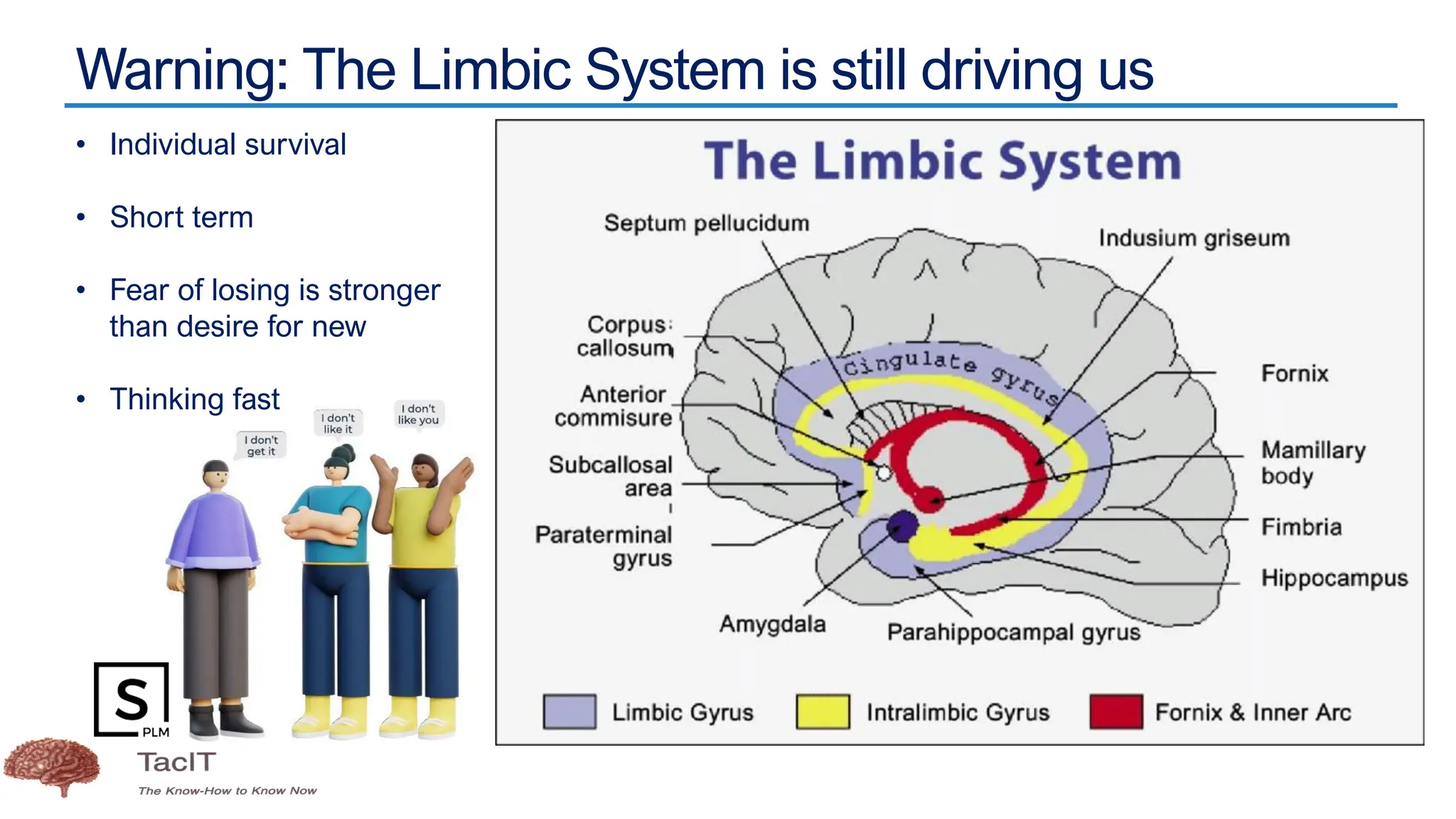 Warning: The Limbic System is still driving us
• Individual survival
• Short term
• Fear of losing is stronger
than desire for new
• Thinking fast
 