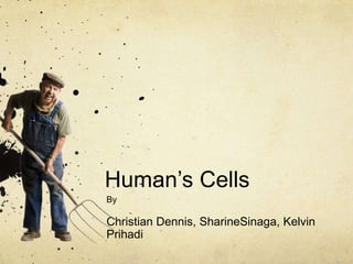 Human’s Cells
By

Christian Dennis, SharineSinaga, Kelvin
Prihadi
 