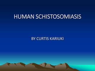 HUMAN SCHISTOSOMIASIS
BY CURTIS KARIUKI
 