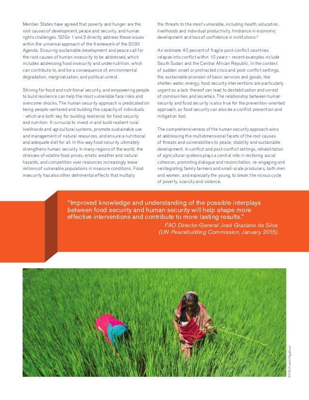 Dissertation on food security