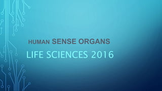 HUMAN SENSE ORGANS
LIFE SCIENCES 2016
 