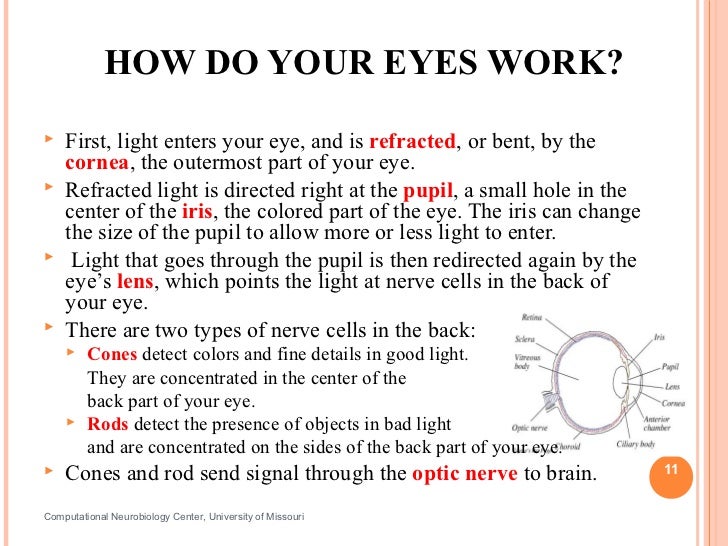 This Is What Happened When I Tried An Online Eye Exam