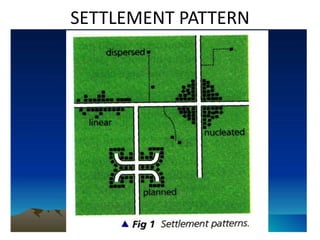 Human settlements and urbanization | PPTX