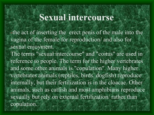 Sexual Intercourse Woman On Top Special Content From Creators #693