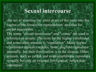 Sexual Intercourse Between Male And Female Humans