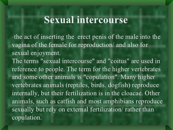 Human Sex Intercourse 74