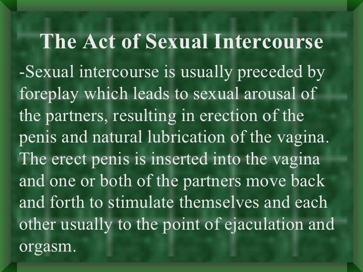 Human Sex Intercourse 41